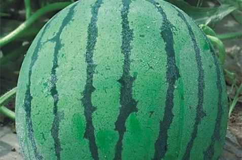 豫星三号