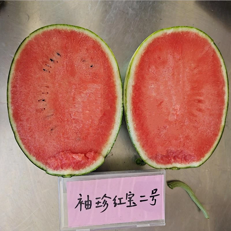 袖珍红宝二号