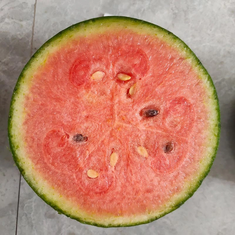 袖珍红宝二号