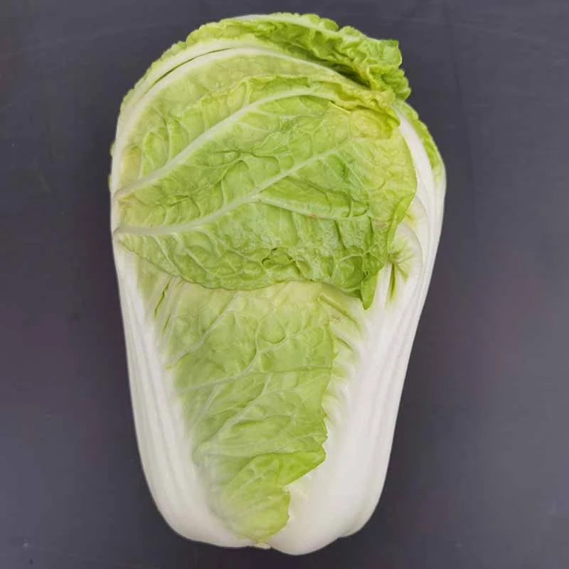 龙芽皇二号