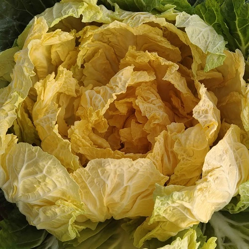 2303141045125c9686.jpg 2303141045125c9686.jpg