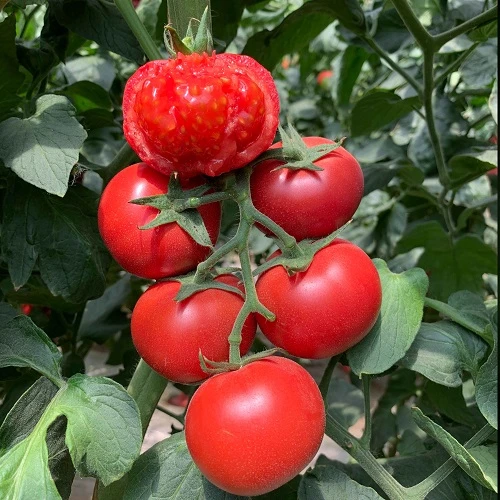 230314103702d049dc.jpg 230314103702d049dc.jpg