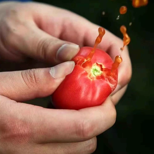 230314103705f42d59.jpg 230314103705f42d59.jpg