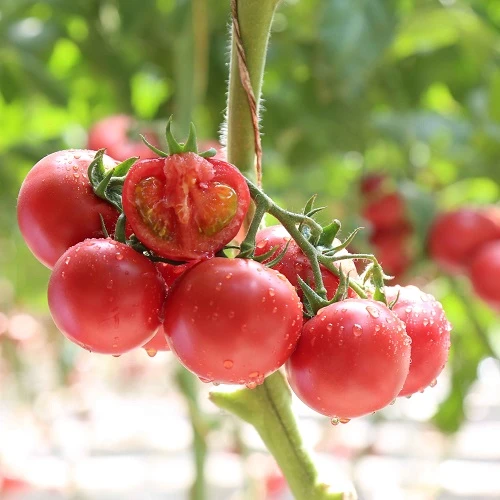 2303141037033cc7da.jpg 2303141037033cc7da.jpg