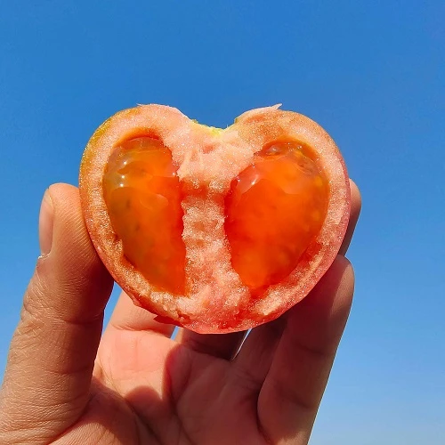 23031410370427c97d.jpg 23031410370427c97d.jpg