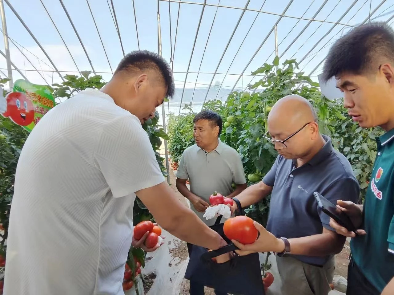 微信图片_20240706172129.jpg 微信图片_20240706172129.jpg