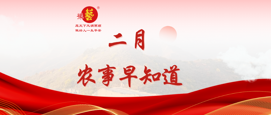【种瓜种菜早知道】二月农事安排